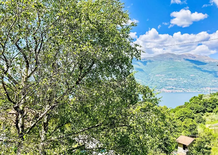 Nel Castagneto-2 By Interhome 아파트 *